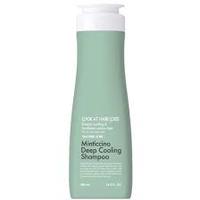 DAENG GI MEO RI LOOK AT HAIR LOSS Minticcino Deep Cooling Shampoo Шампунь от выпадения волос освежающий против перхоти
