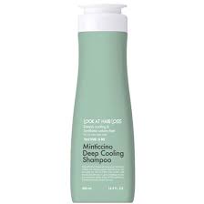 DAENG GI MEO RI LOOK AT HAIR LOSS Minticcino Deep Cooling Shampoo Шампунь от выпадения волос освежающий против перхоти